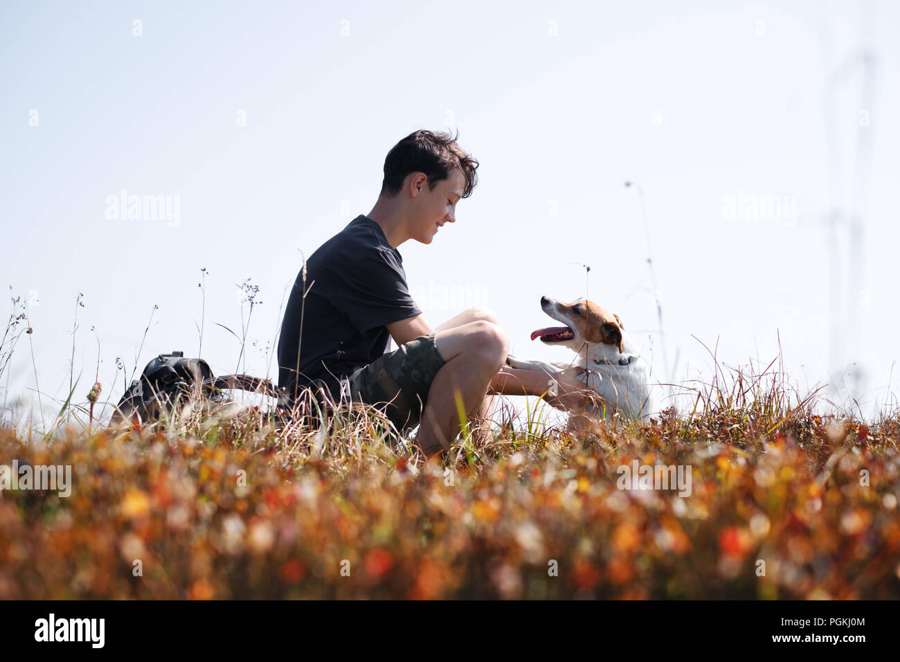 Adolescente in autunno prato con piccolo cane bianco Foto Stock