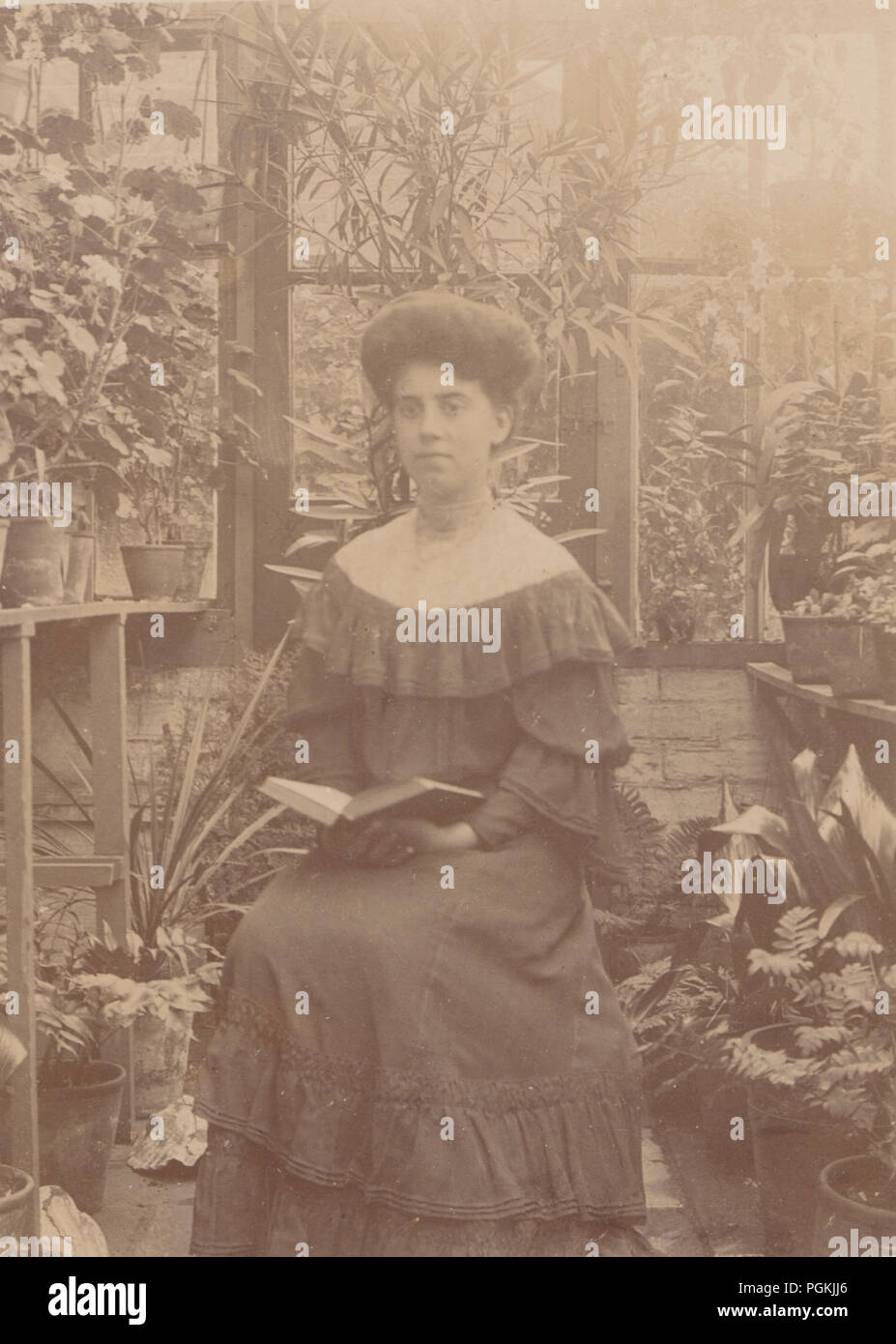 Vintage fotografia di un Edwardian Lady Sat leggendo un libro in una serra / veranda. Foto Stock