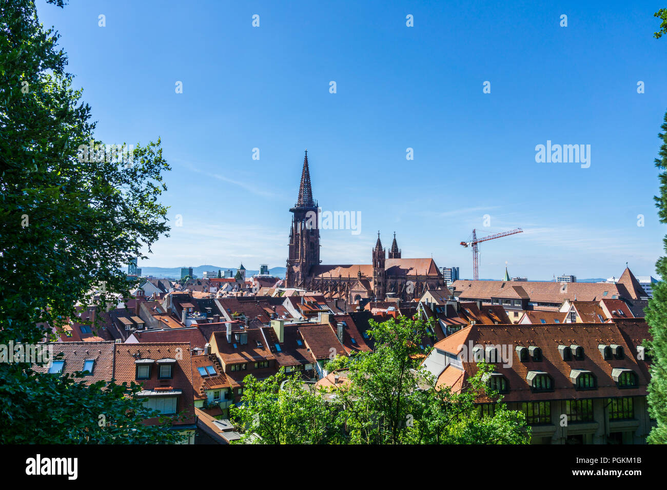 Germania, sopra i tetti rossi di Freiburg im Breisgau Foto Stock