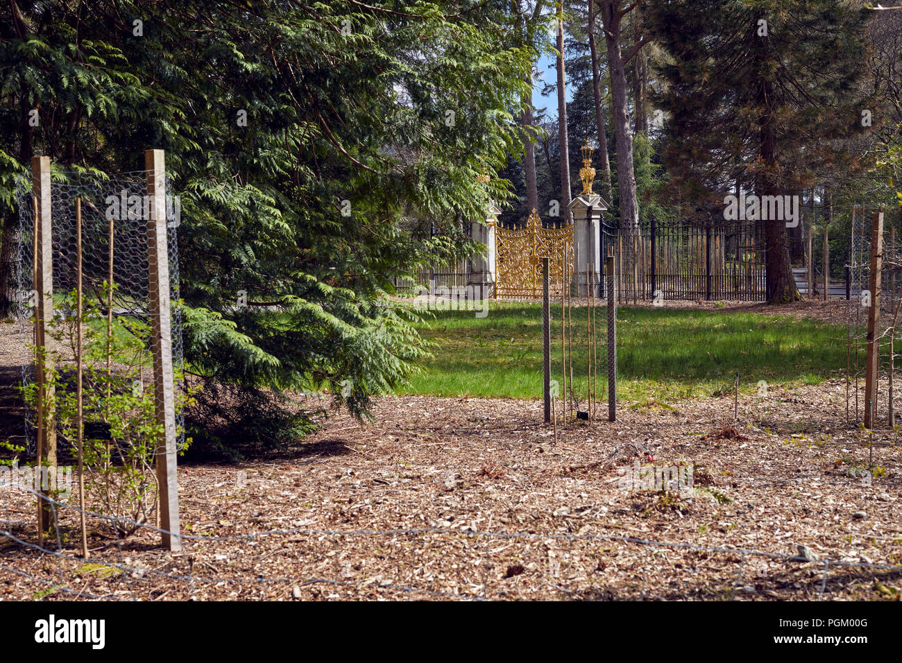 Il restaurato Golden Gates nella loro posizione originale a Benmore Giardini Botanici Foto Stock