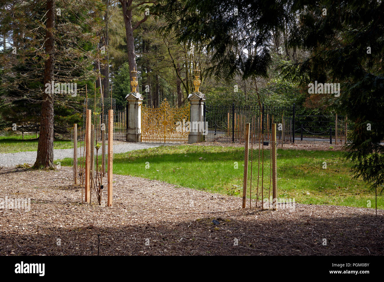 Il restaurato Golden Gates nella loro posizione originale a Benmore Giardini Botanici Foto Stock