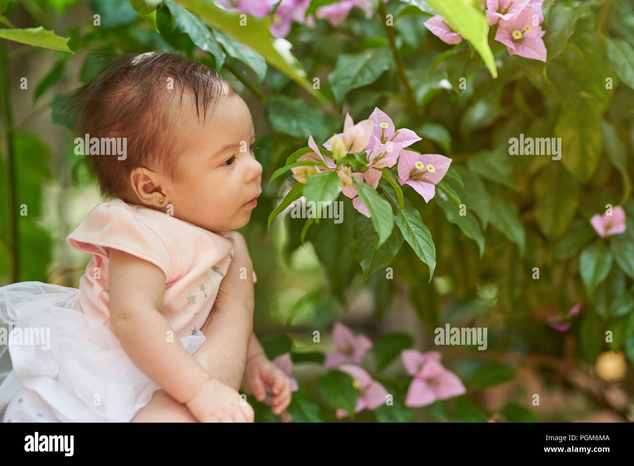 Piccolo bimbo odore dei fiori sul verde sfondo sfocato Foto Stock