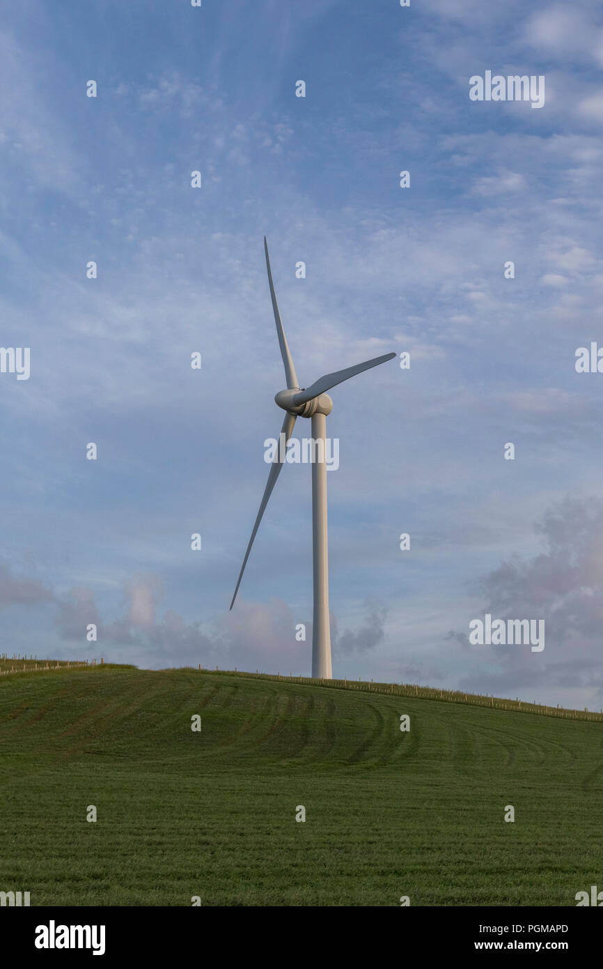 Le turbine eoliche in un campo Foto Stock