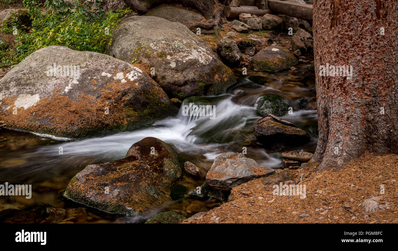 Una piccola cascata lungo i mulini Lago Trail nel Parco Nazionale delle Montagne Rocciose, Colorado, STATI UNITI D'AMERICA Foto Stock