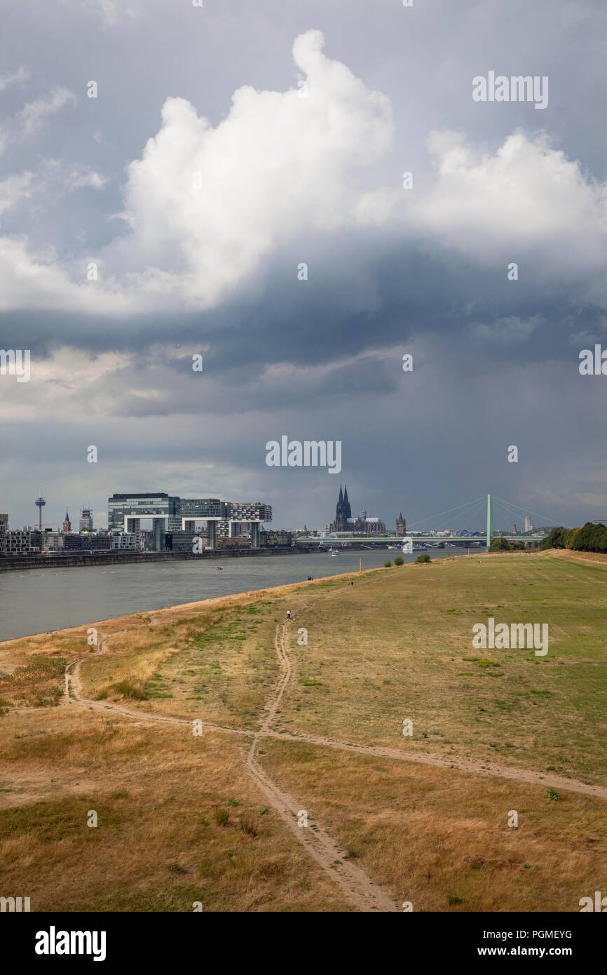 Acqua bassa del fiume Reno, Agosto 25, 2018 pioggia nuvole sopra il essiccato fino prati sul fiume Reno, vista del porto di Rheinau e la cattedrale Foto Stock