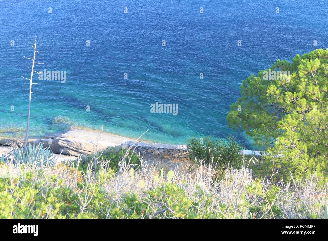 Isola d'Elba Foto Stock