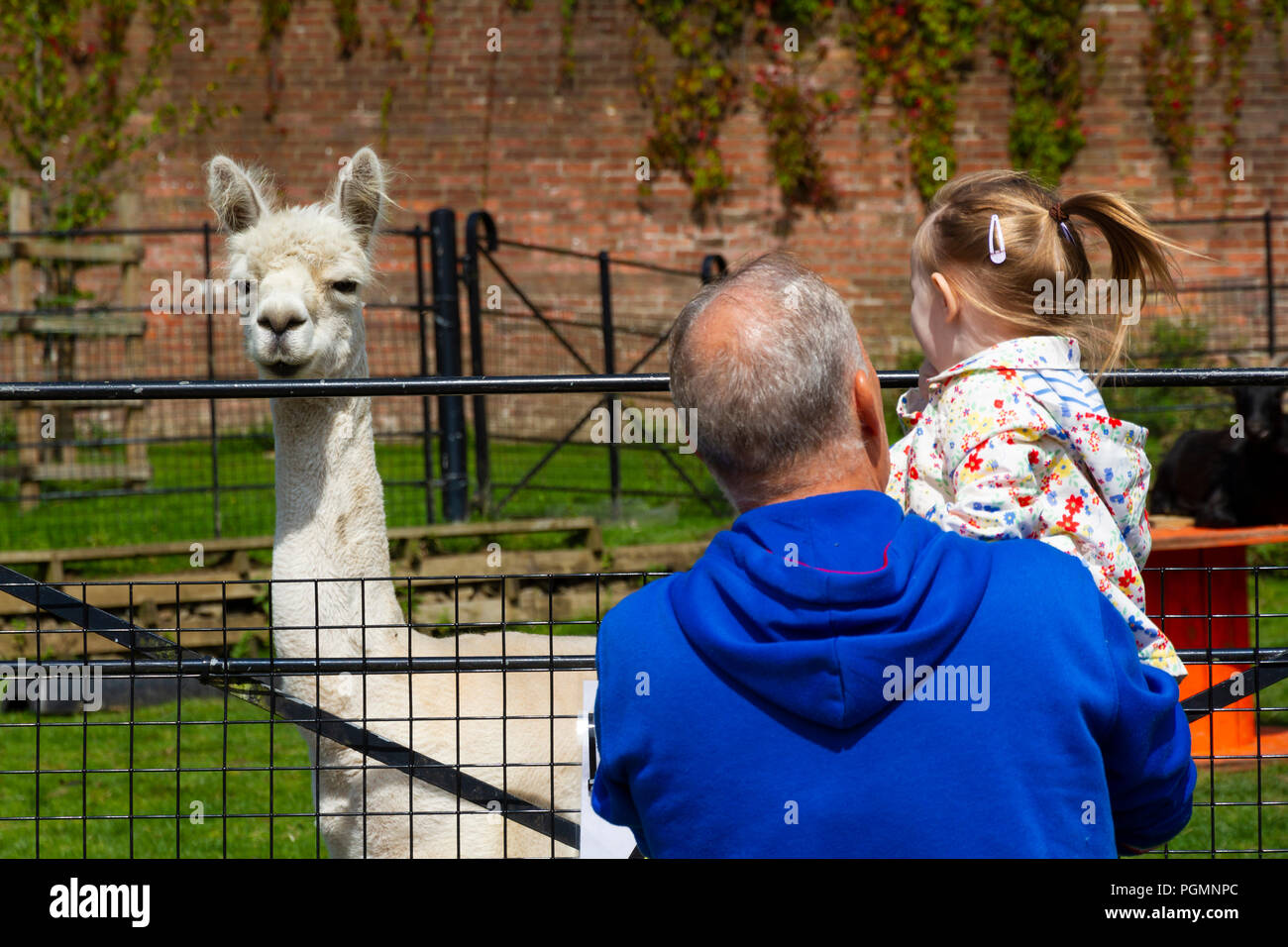 Le stalle degli animali nel centro di Heaton Park, Birmingham, Inghilterra. Foto Stock