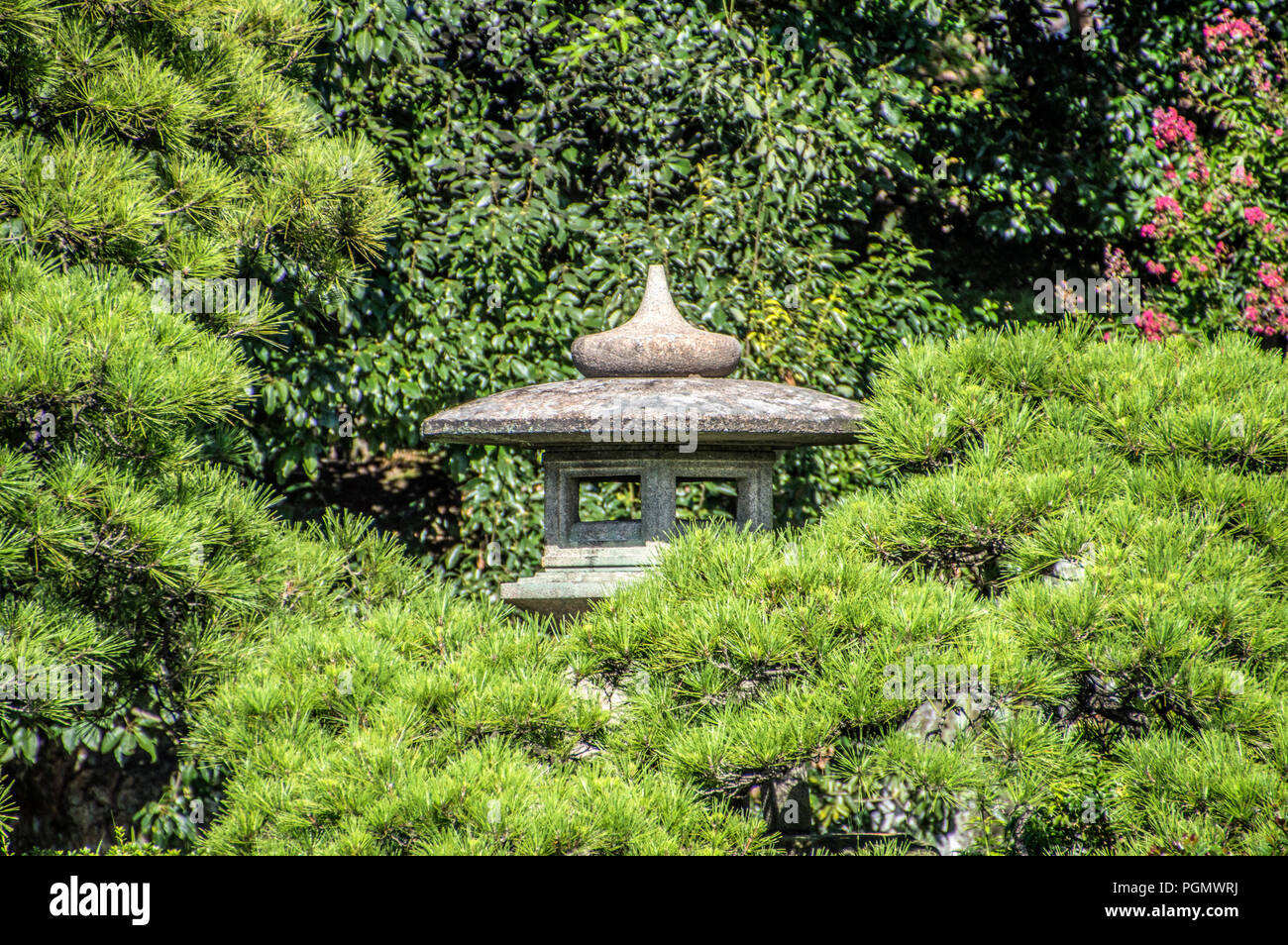 Giardino presso la sento il Palazzo Imperiale di Kyoto in Giappone 2015 Foto Stock