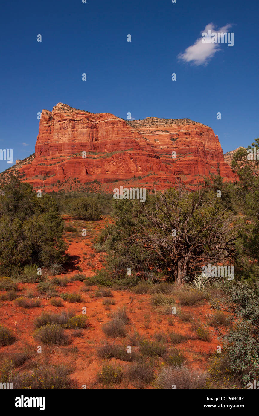 Courthouse Butte at Red Rock State Park Foto Stock