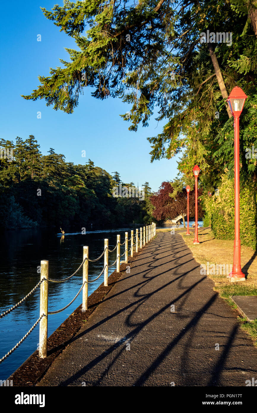 Sentiero in gola per via navigabile Park - Victoria, Isola di Vancouver, British Columbia, Canada Foto Stock