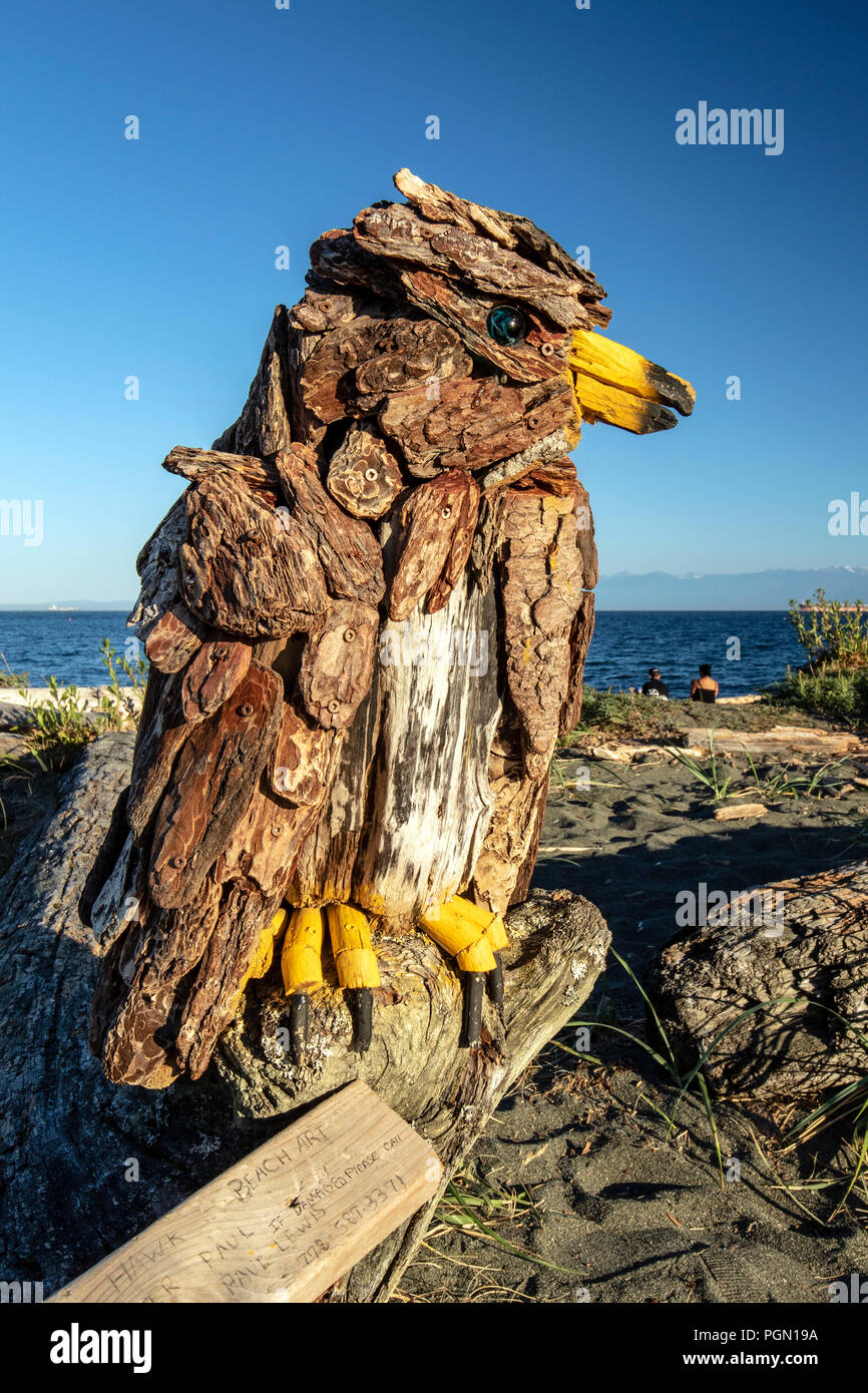Red-tailed Hawk - Driftwood Arte da Paul Lewis - Esquimalt Laguna, Victoria, Isola di Vancouver, British Columbia, Canada Foto Stock