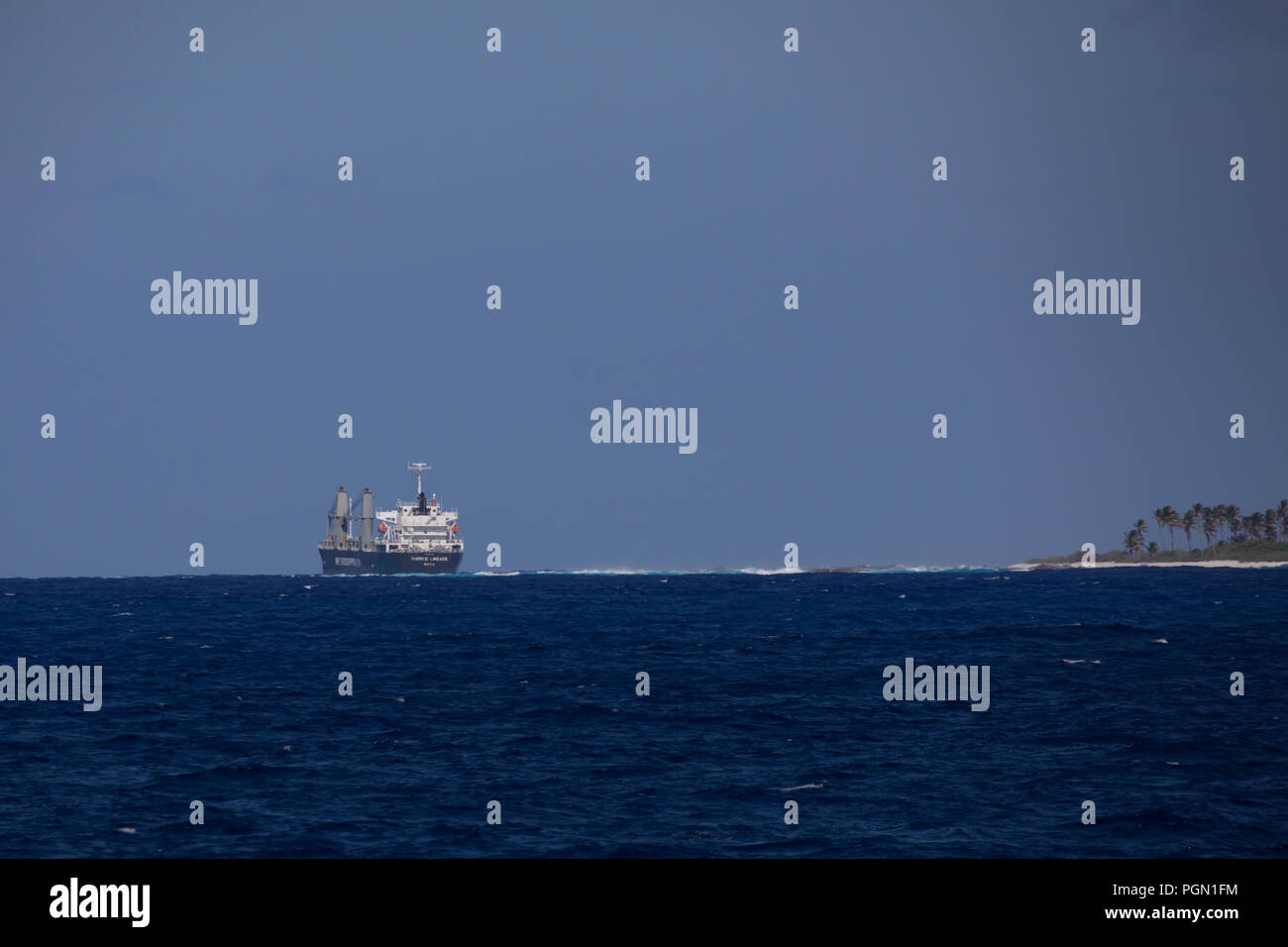 General cargo lignaggio Thorco arenarsi sulla barriera corallina di Raroia atoll, Tuamtous, Polinesia Francese Foto Stock