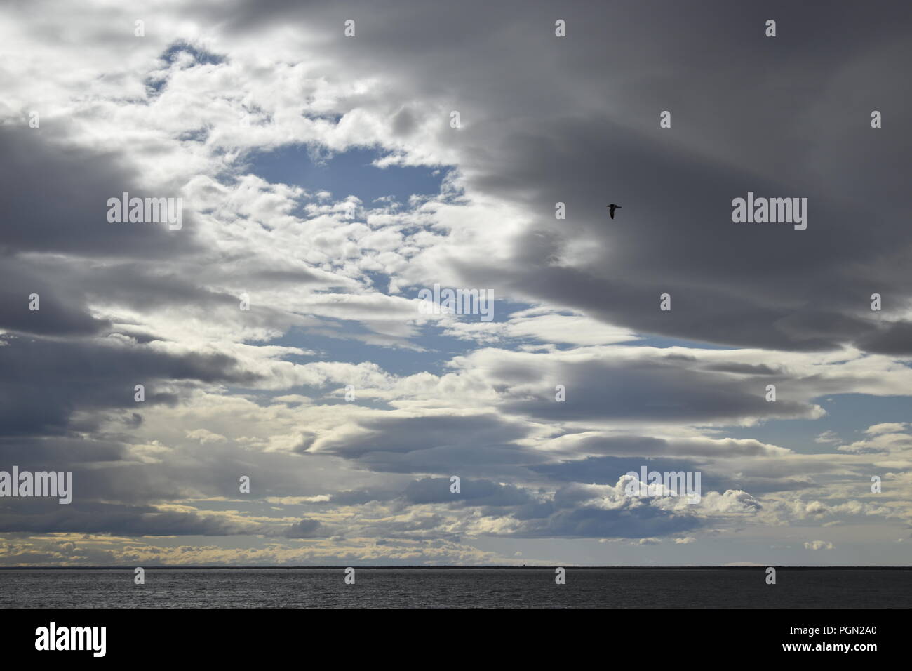 Debole alba alla stagione invernale in sud america Foto Stock