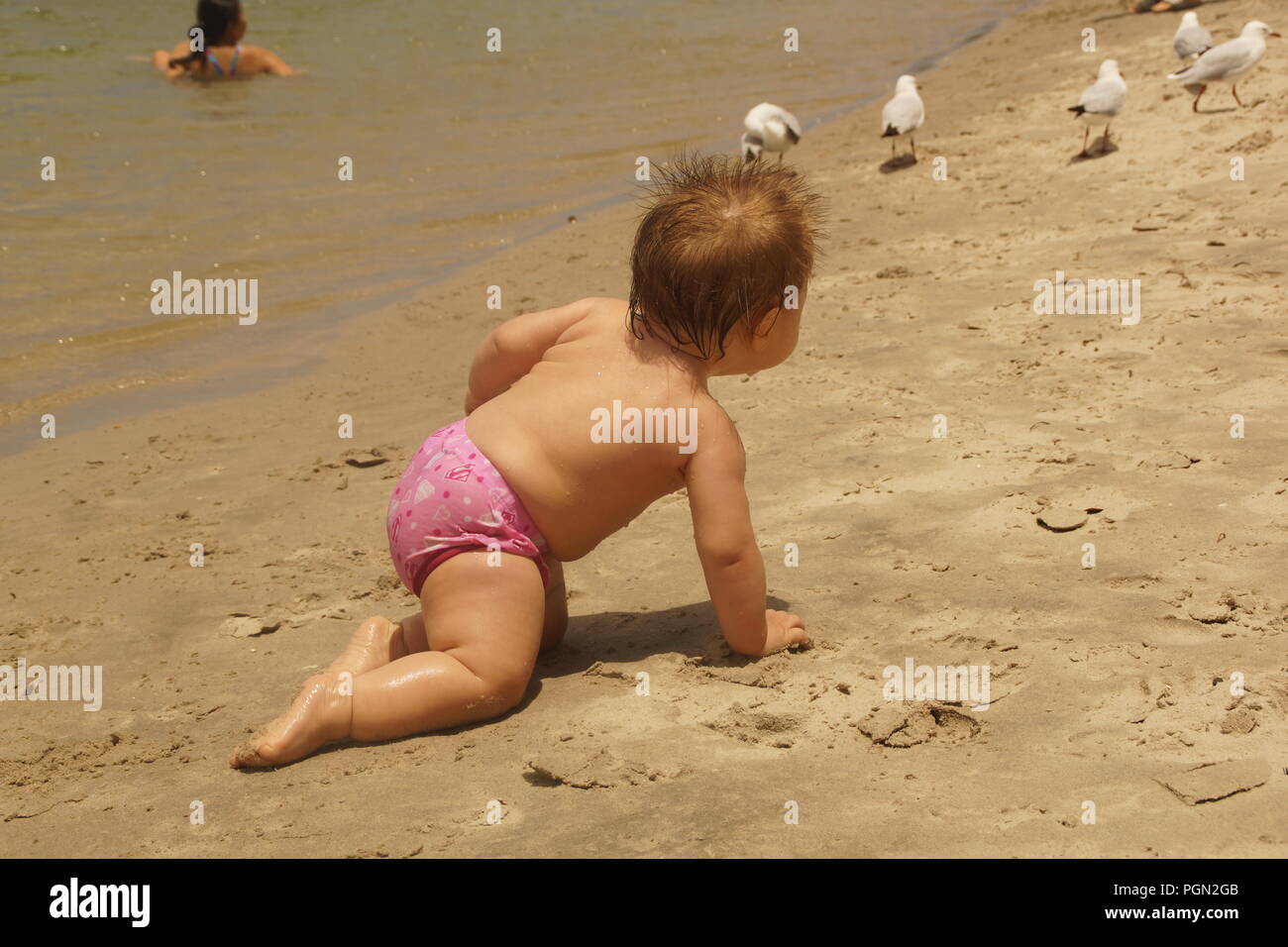 Bubs in spiaggia Foto Stock