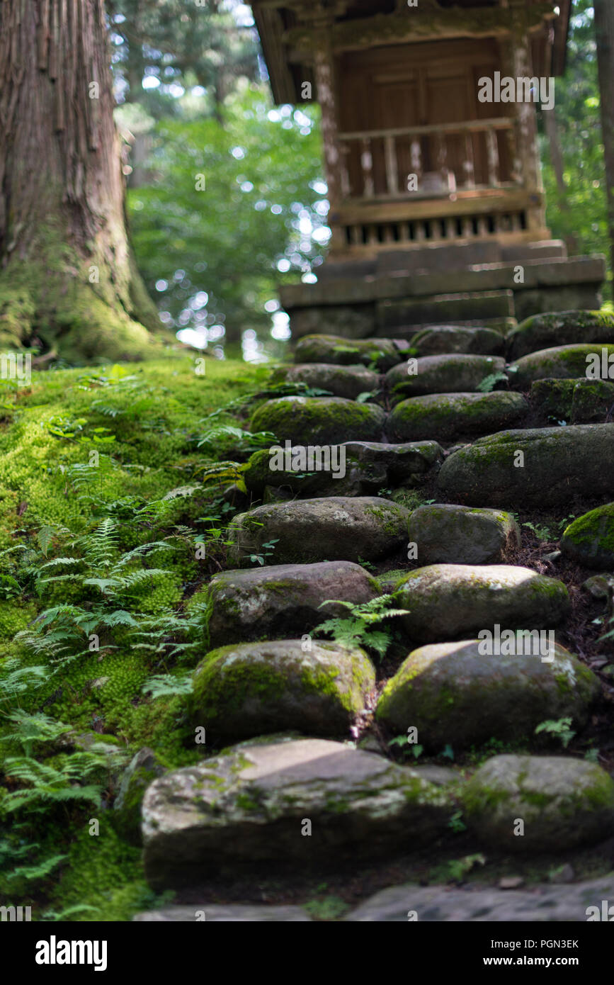 La foto mostra un piccolo santuario noto come Kaisansha all'interno dei motivi di Hakusan Heisenji santuario di Katsuyama, Fukui Prefettura, in Giappone il 4 ottobre, 2016. Il Foto Stock