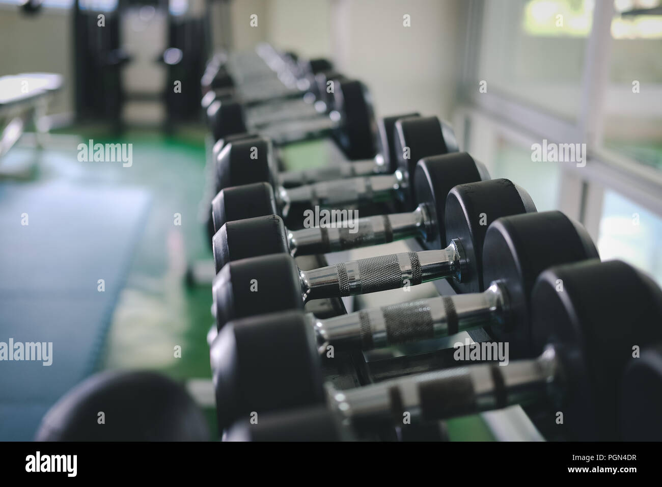 Fila di manubri in palestra. Nero set di manubri in sport club fitness center. Foto Stock