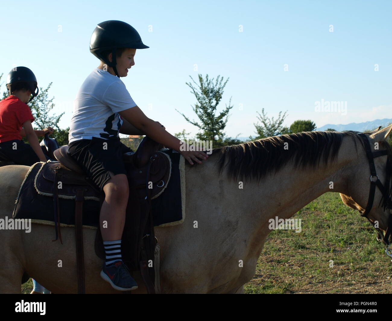 Cavalli e il compleanno con i bambini Foto Stock