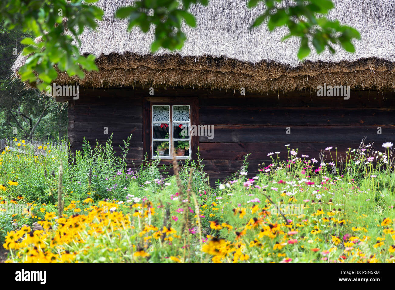 Vecchia casa in legno con fiore giardino anteriore, campagna in estate Foto Stock