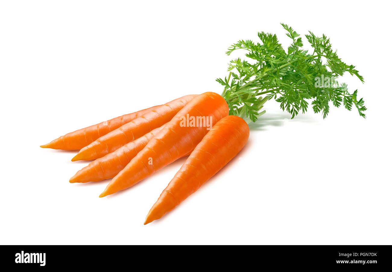 La carota mazzetto isolati su sfondo bianco come pacchetto elemento di design Foto Stock