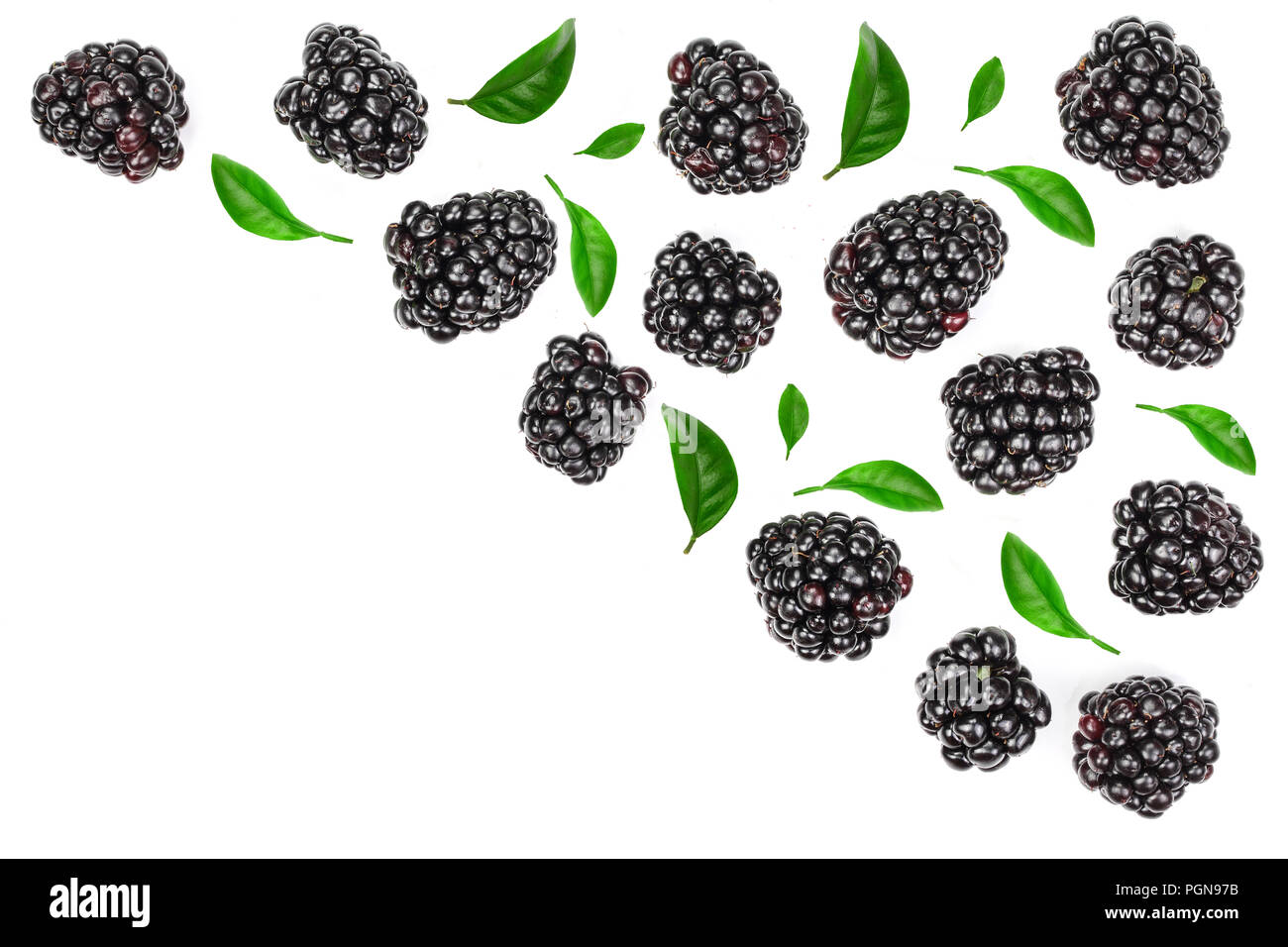 Blackberry fresco con foglie isolato su sfondo bianco con copia spazio per il tuo testo. Vista dall'alto. Piatto modello di laici Foto Stock