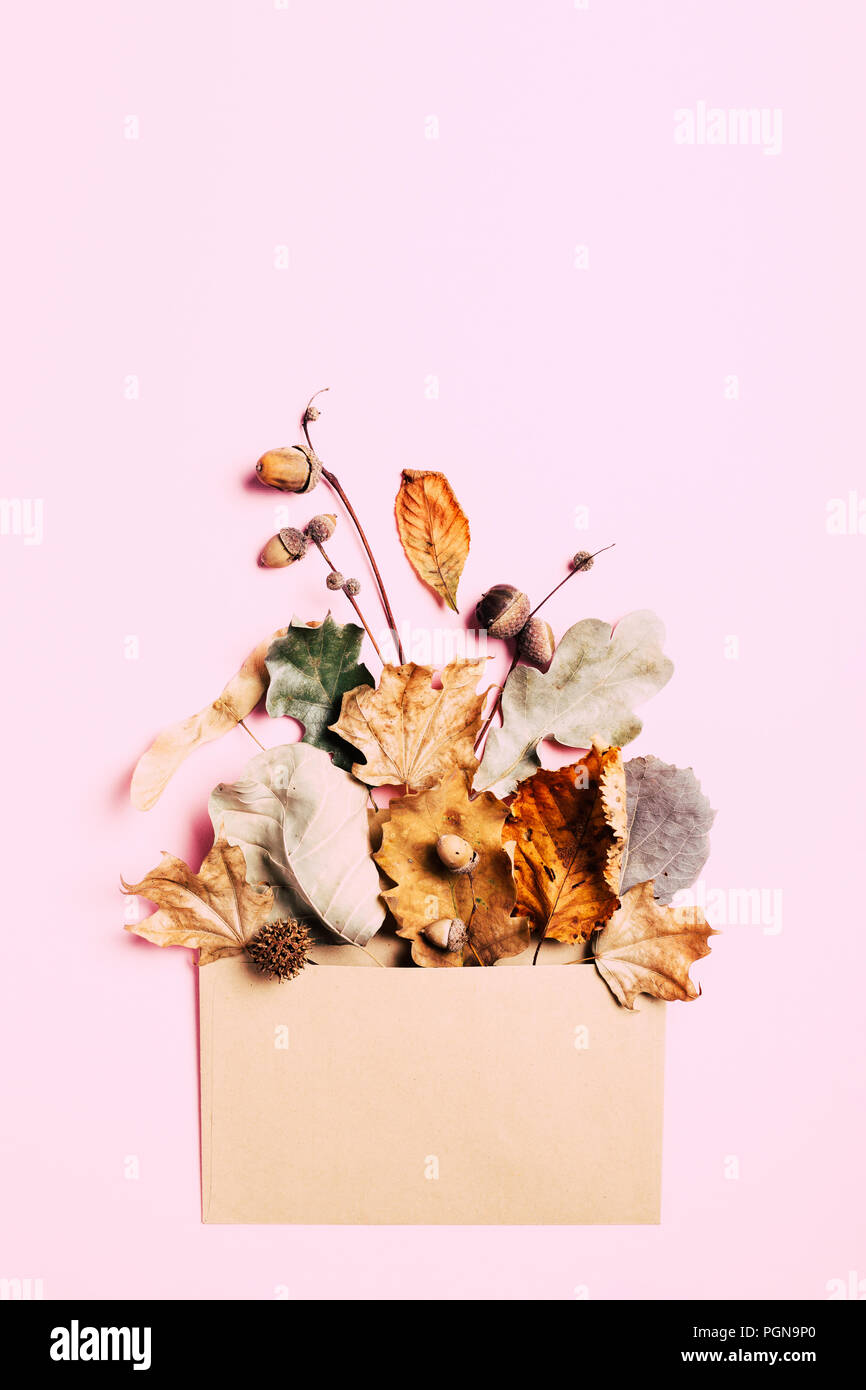 Foglie secche in kraft avvolgono su sfondo rosa. Concetto di autunno card. Il minimo e alla moda di composizione. Foto Stock