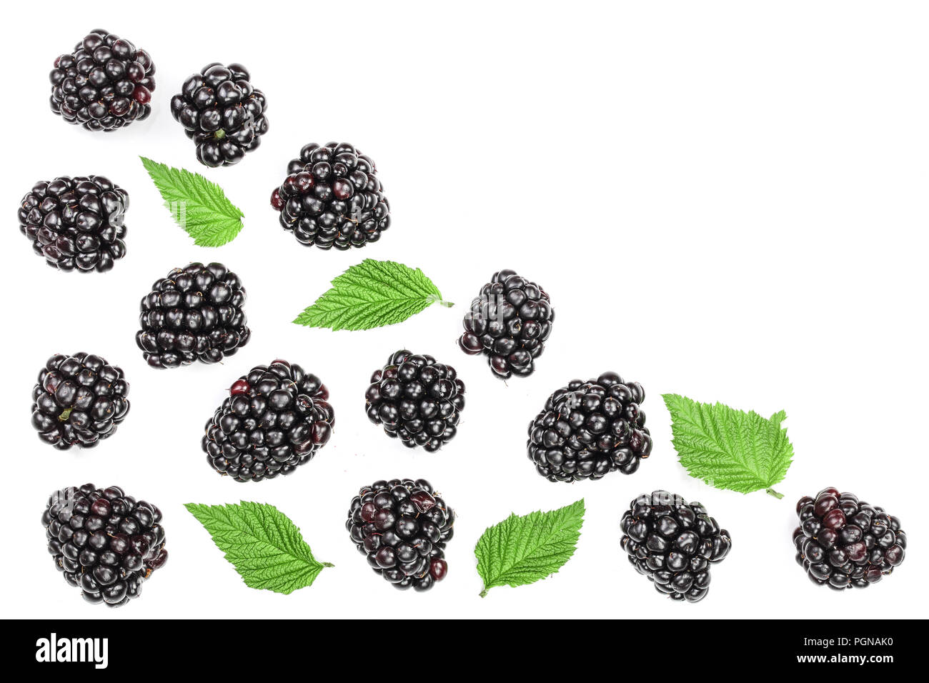 Blackberry fresco con foglie isolato su sfondo bianco con copia spazio per il tuo testo. Vista dall'alto. Piatto modello di laici Foto Stock