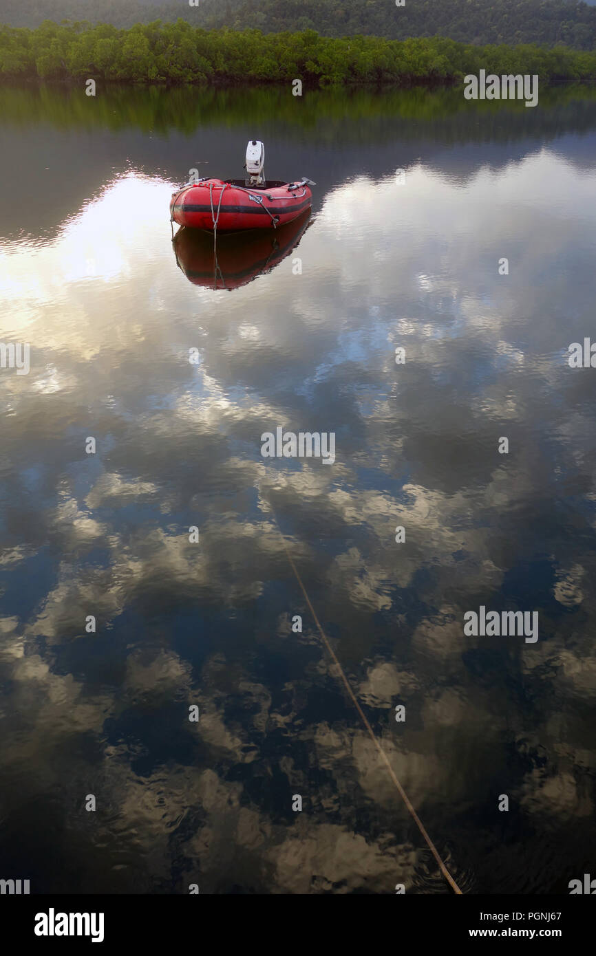 Calma la mattina in mangrove creek, Hinchinbrook Island National Park, Queensland, Australia. N. PR Foto Stock