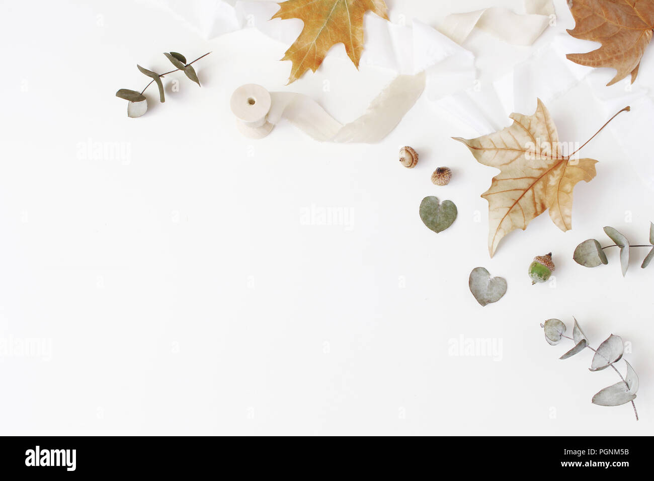 Caduta di stile creativo di composizione. Autunno composizioni floreali a secco con eucalipto, foglie di acero e nastro di seta bianca su sfondo tabella. Piatto femminile laico, vista dall'alto. Spazio vuoto. Foto Stock