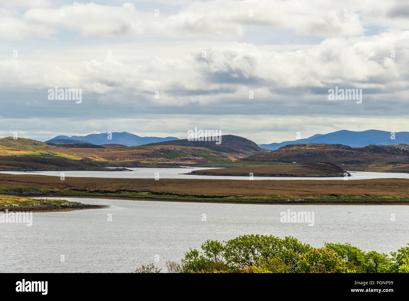 Molla di brughiera viste nell'isola di Lewis, Scozia Foto Stock