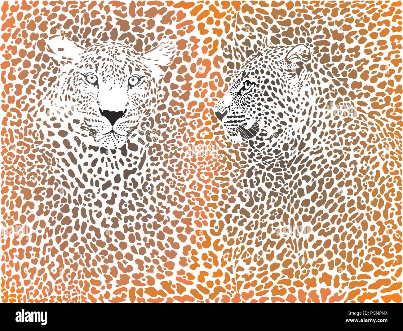 Modello di Leopard con testa Illustrazione Vettoriale