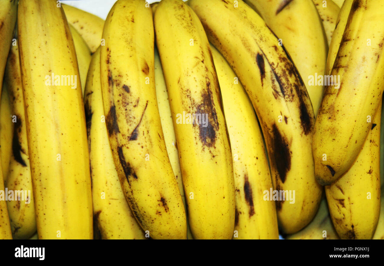 Partita di banane in gruppo presso il negozio di generi alimentari. Banana è una frutta commestibili botanicamente berry prodotta da vari tipi di grandi piante erbacee piante fiorite i Foto Stock