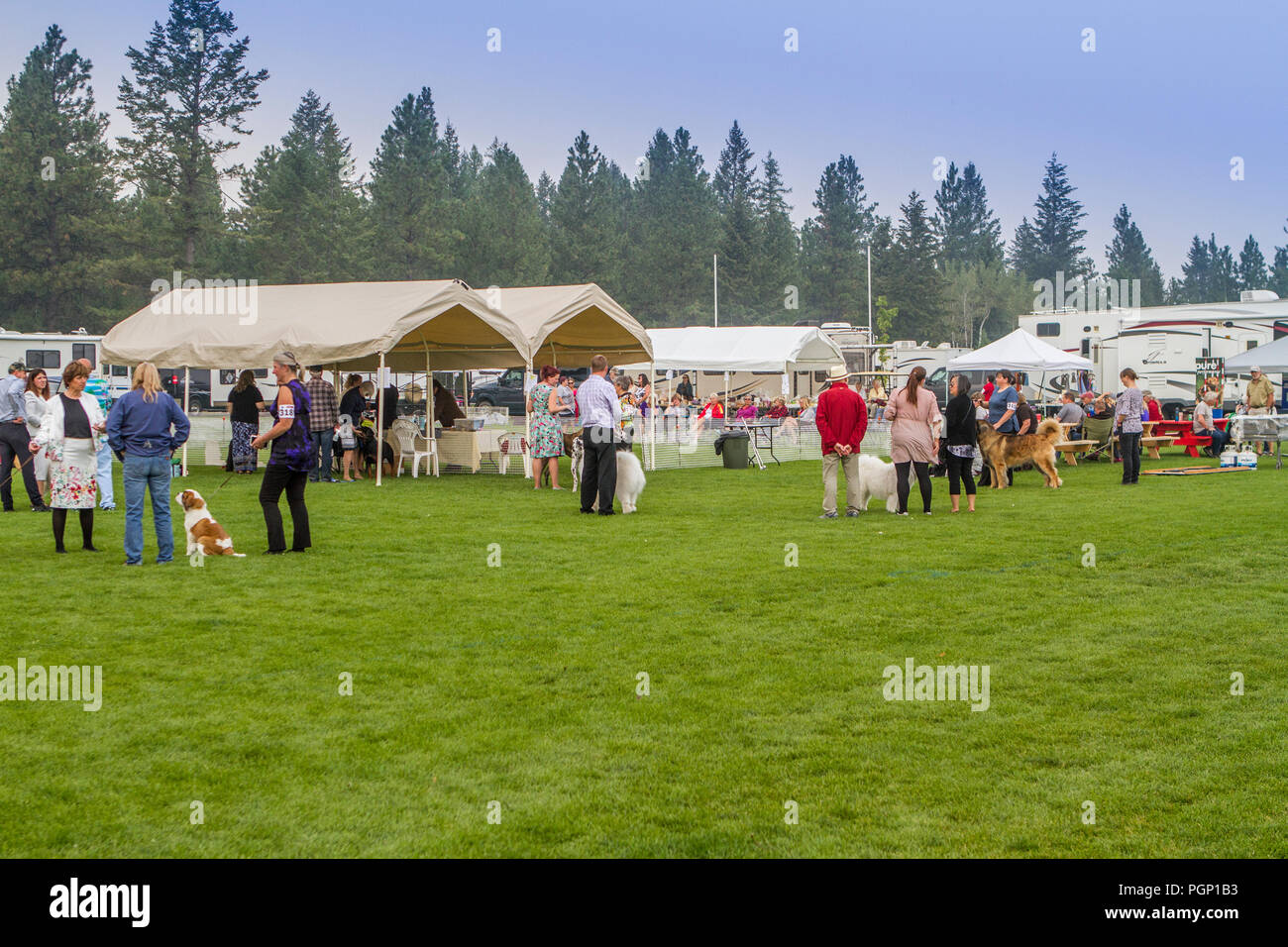 Cranbrook annuale di Dog Show, mostrando l'anello, fornitore tende, veiw dell intera impostato Foto Stock