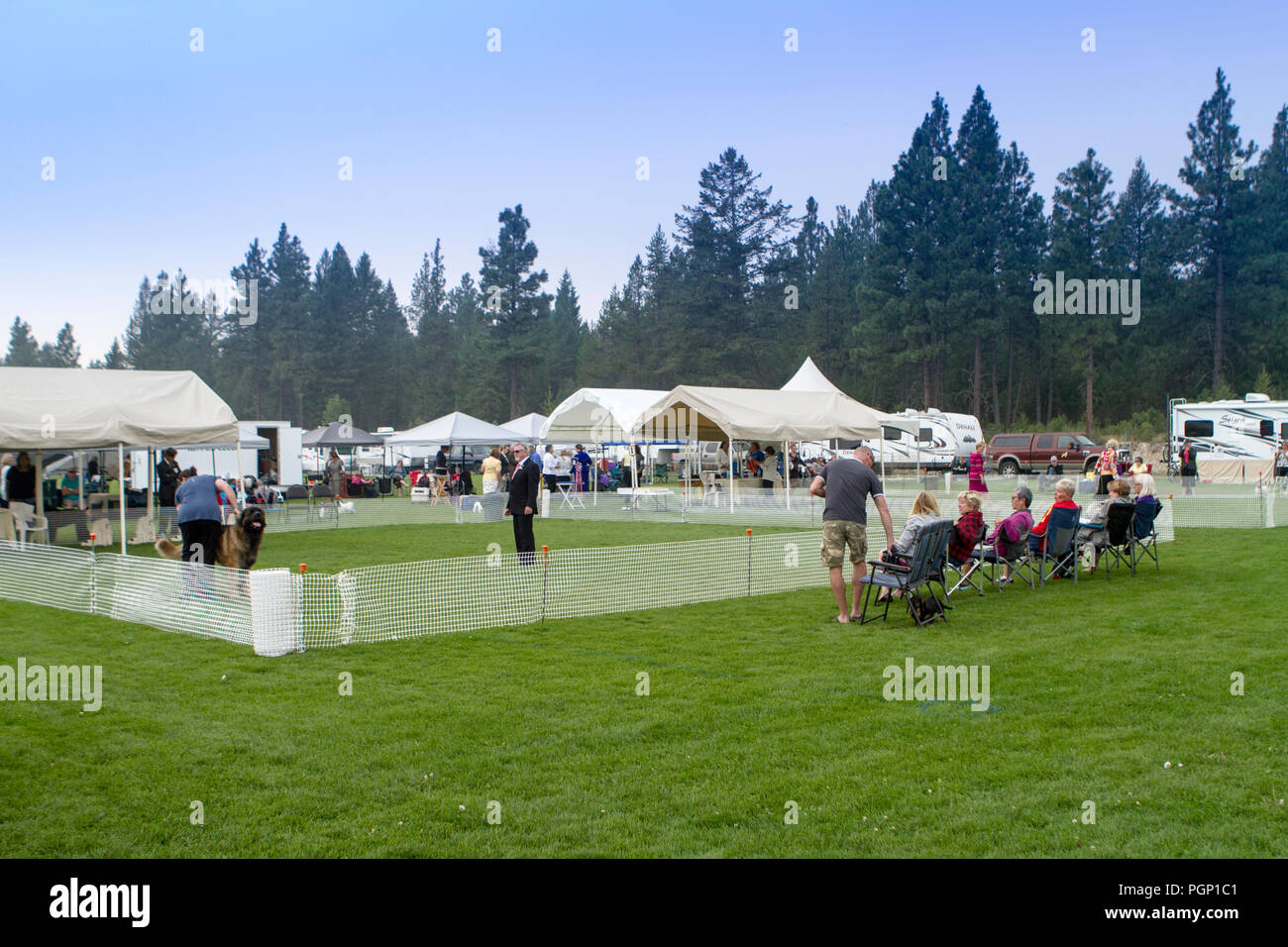 Cranbrook annuale di Dog Show, mostrando l'anello, fornitore tende, veiw dell intera impostato Foto Stock