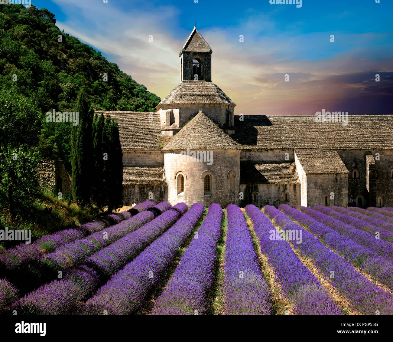 FR - Vaucluse: Abbaye Notre Dame de Senanque vicino a Gordes Foto Stock