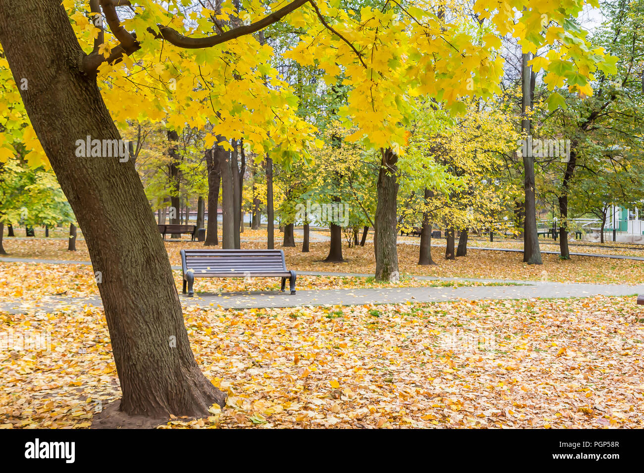 In autunno il paesaggio della città. Persone in appoggio su un banco di lavoro. Vista attraverso il outumn fiori. Mosca, Russia Foto Stock