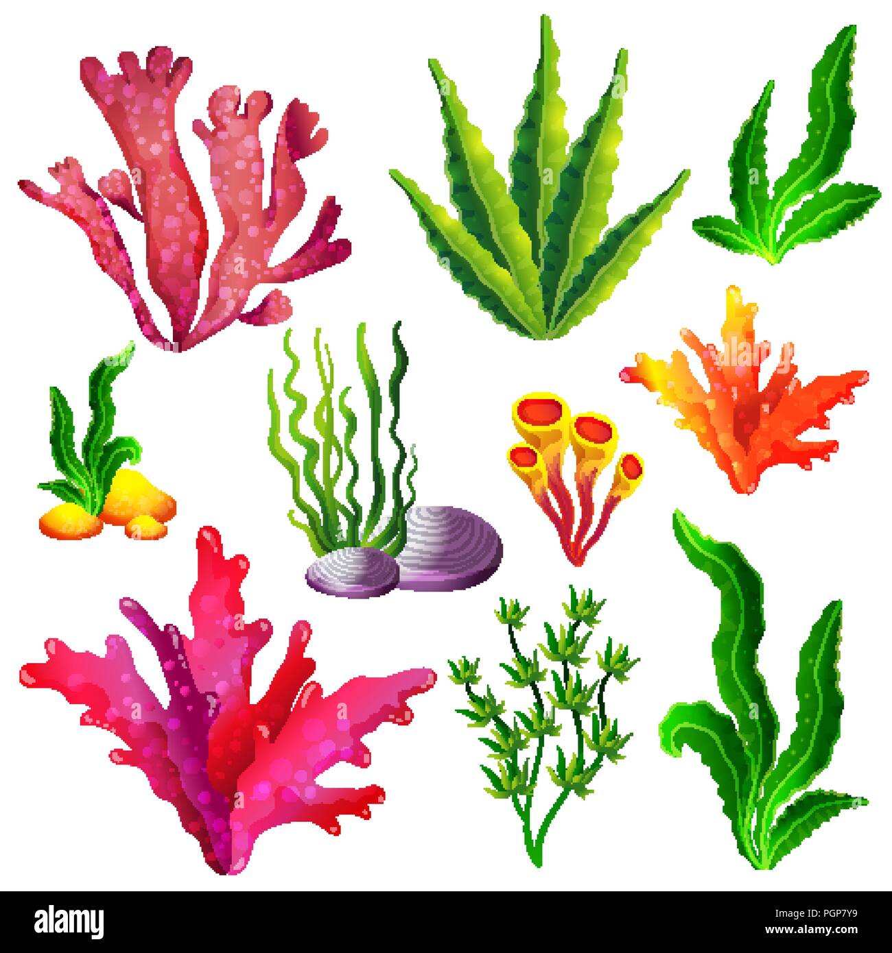 Set di colori del mare le alghe Illustrazione Vettoriale