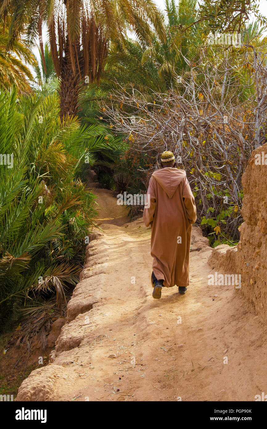 Uomo marocchino in abiti tradizionali si allontana su un percorso sterrato sotto le palme in una lussureggiante oasi nel deserto. Posizione: Valle di Draa. Foto Stock