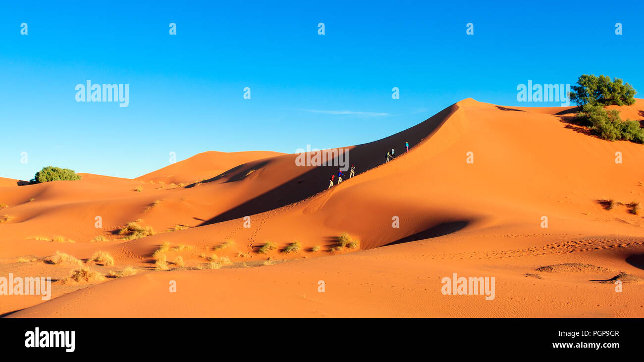 Il Marocco, una fila di escursionisti salendo per la cresta di un arancione ripide dune di sabbia. Posizione, Erg Chebbi nel deserto del Sahara. Viaggi avventura tema. Foto Stock