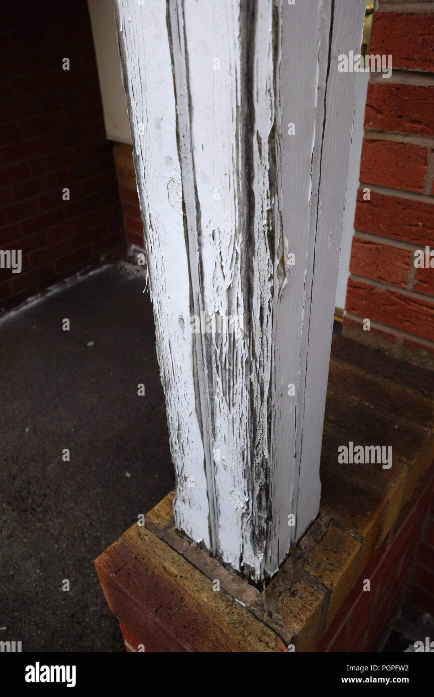 Montante della porta peeling di vernice su una casa a Rotherham, South Yorkshire, Inghilterra. Foto Stock