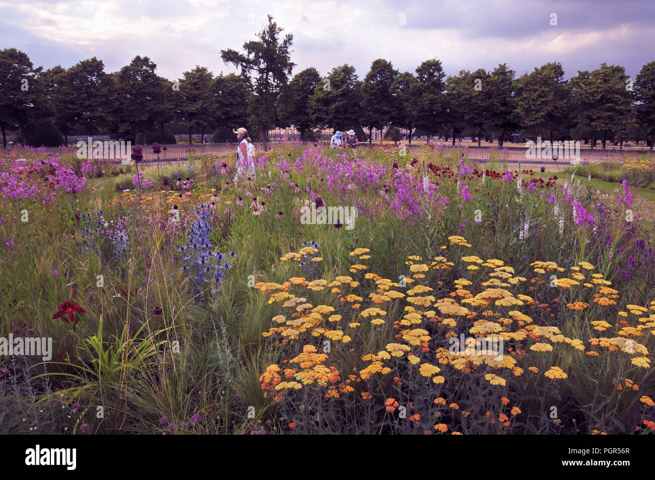 Colorato confine estivo piantato dal famoso designer di giardini Piet Oudolf al RHS Hampton Court Palace Garden Festival / Flower Show, Surrey, Regno Unito. Foto Stock