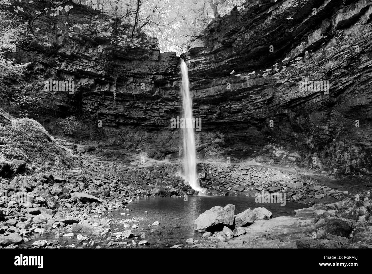 Vista estiva di forza Hardraw cascata, Green Dragon pub, Hardraw village, Wensleydale; Yorkshire Dales National Park, Inghilterra Foto Stock