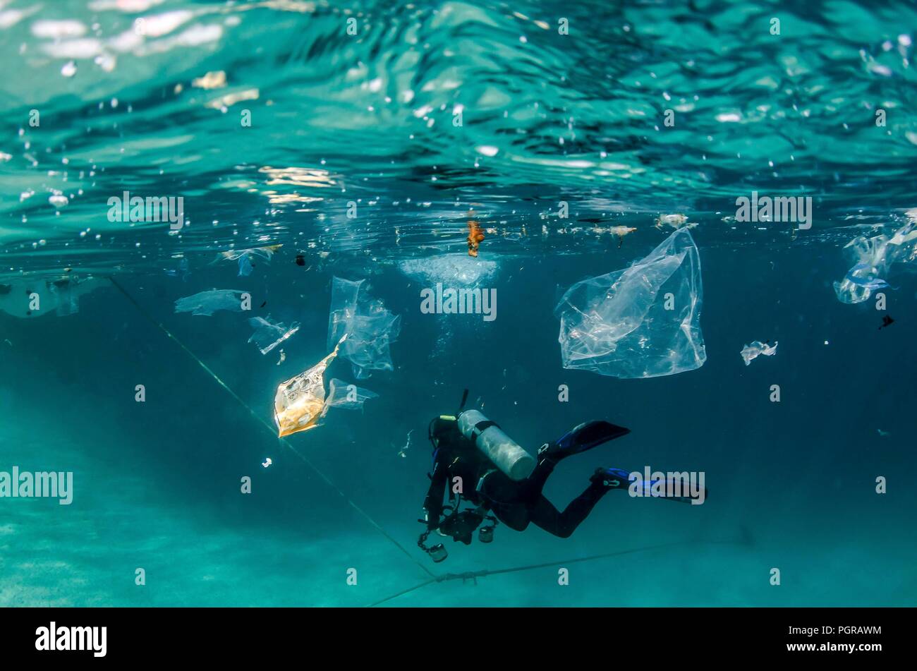 Sub nuota attraverso la plastica subacquea di inquinamento in Egitto Foto Stock