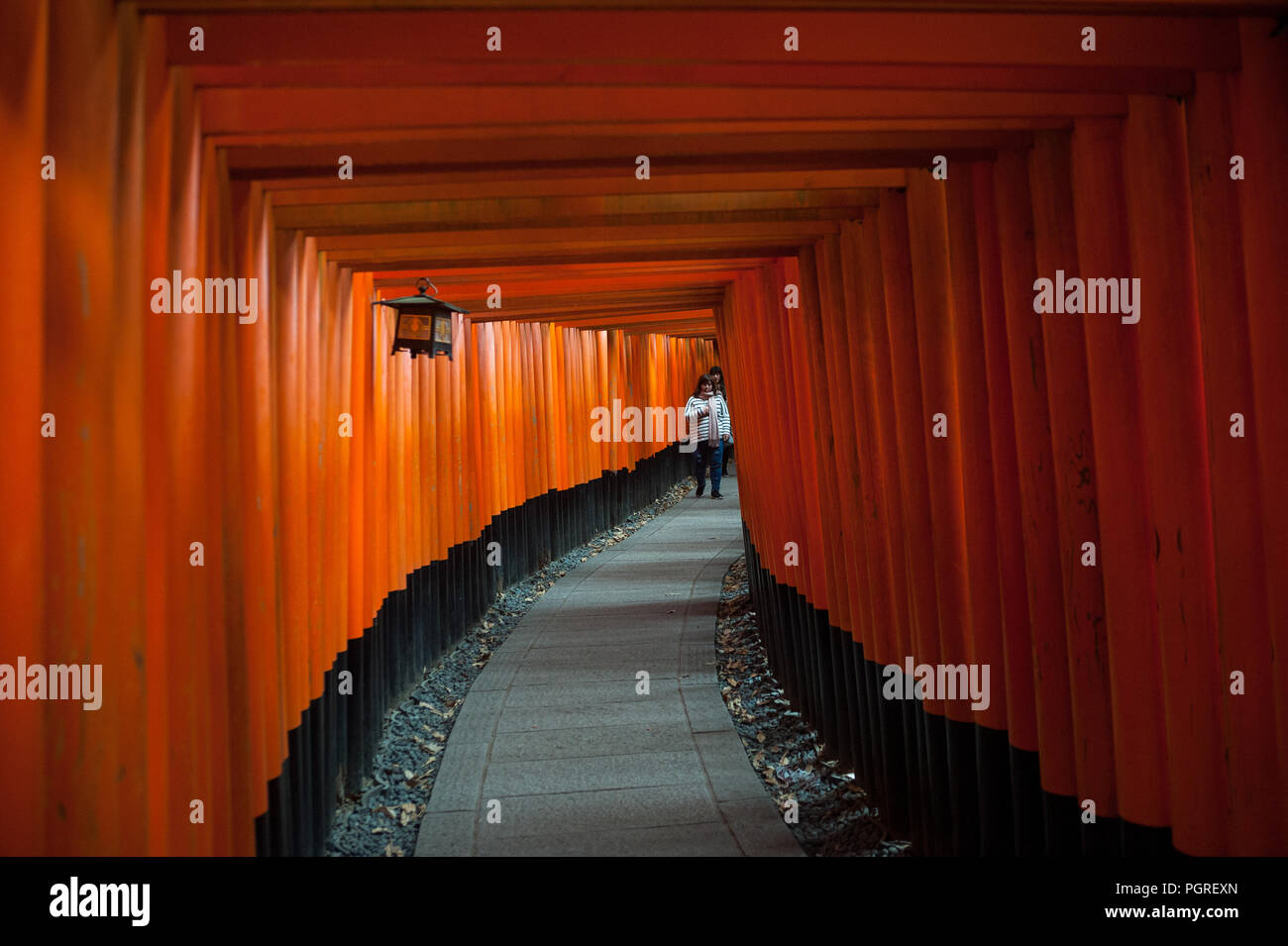 24.12.2017, Kyoto, Giappone, Asia - Una vista interna di uno dei Torii sentieri che conducono a Fushimi Inari Taisha, un santuario scintoista di Kyoto. Foto Stock