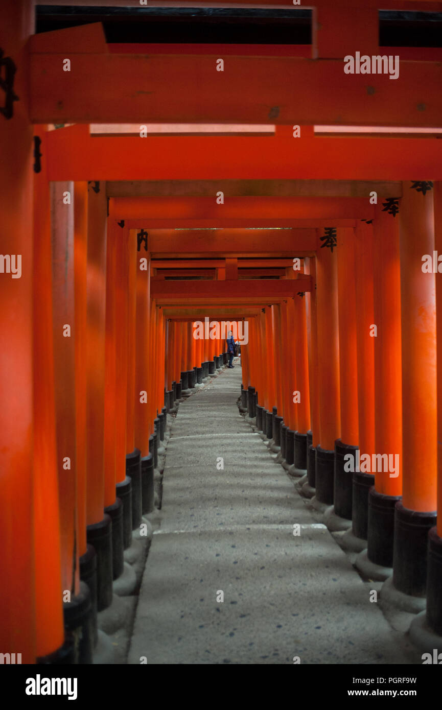 24.12.2017, Kyoto, Giappone, Asia - Una vista interna di uno dei Torii sentieri che conducono a Fushimi Inari Taisha, un santuario scintoista di Kyoto. Foto Stock