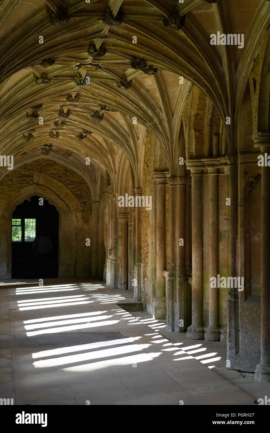 Lacock Abbey arcate Foto Stock