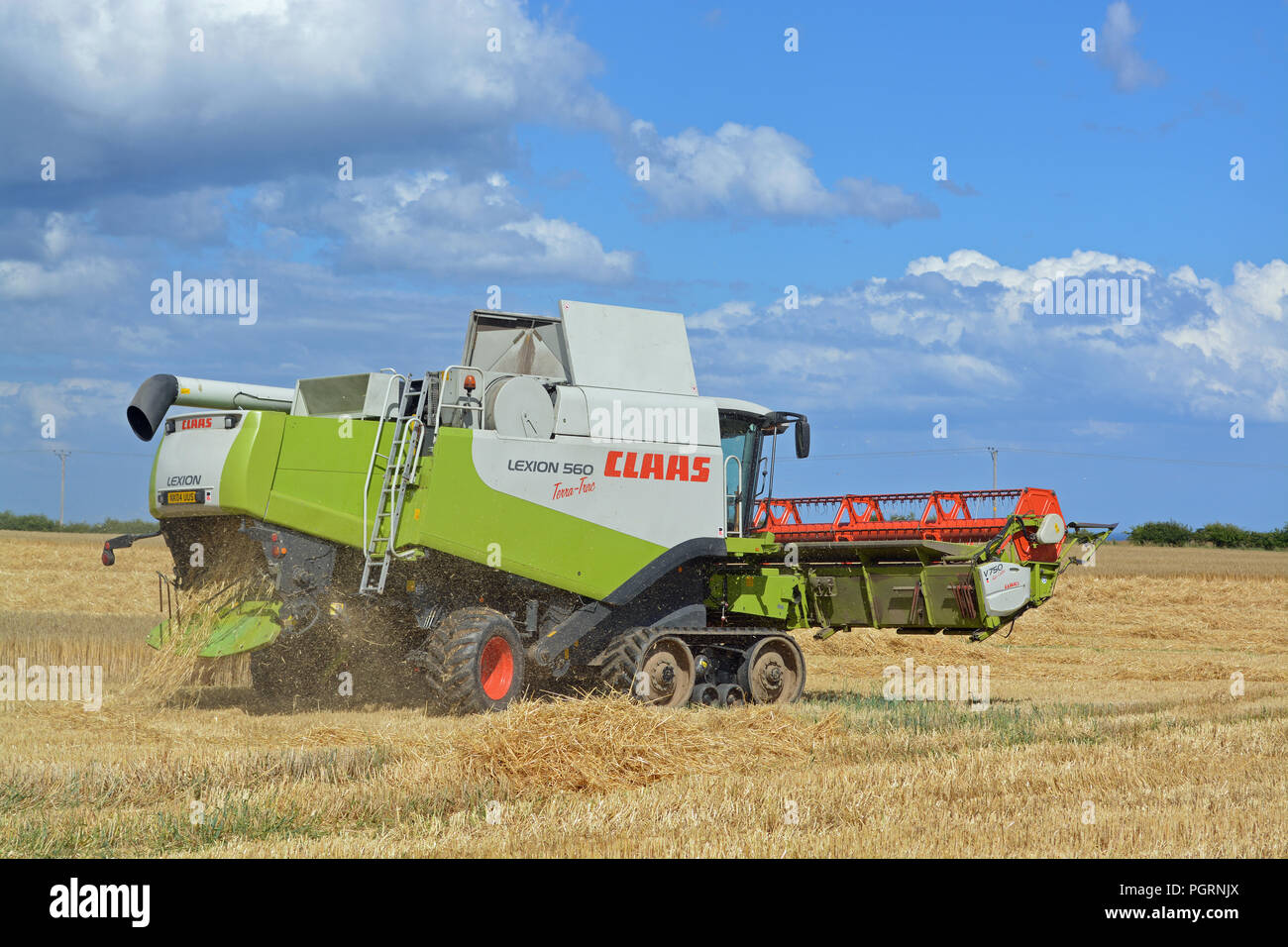 Claas Lexio 560 Mietitrebbia Foto Stock