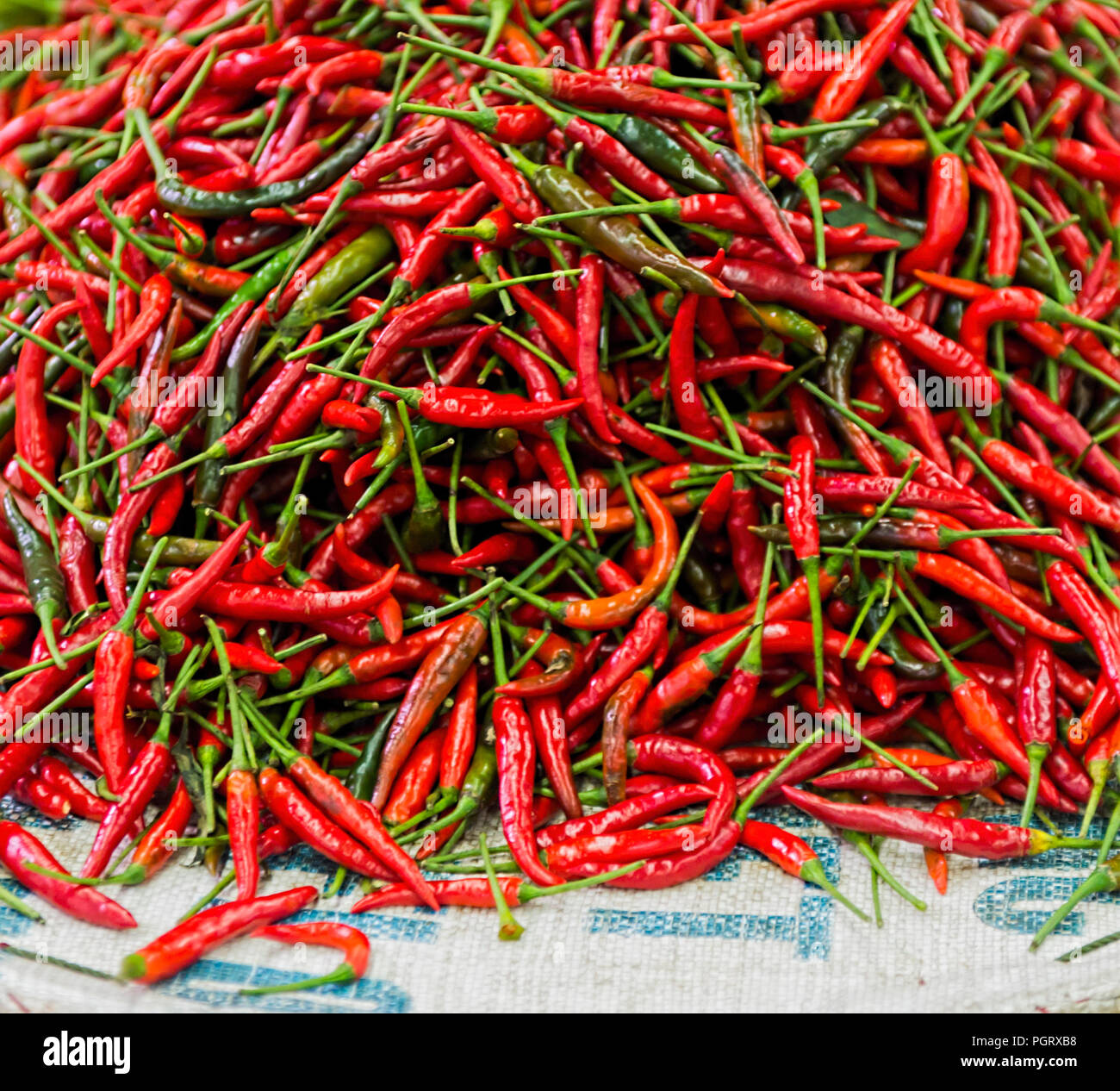 Pak Khlong Talat Market Bangkok - Peperoncino Rosso Foto Stock