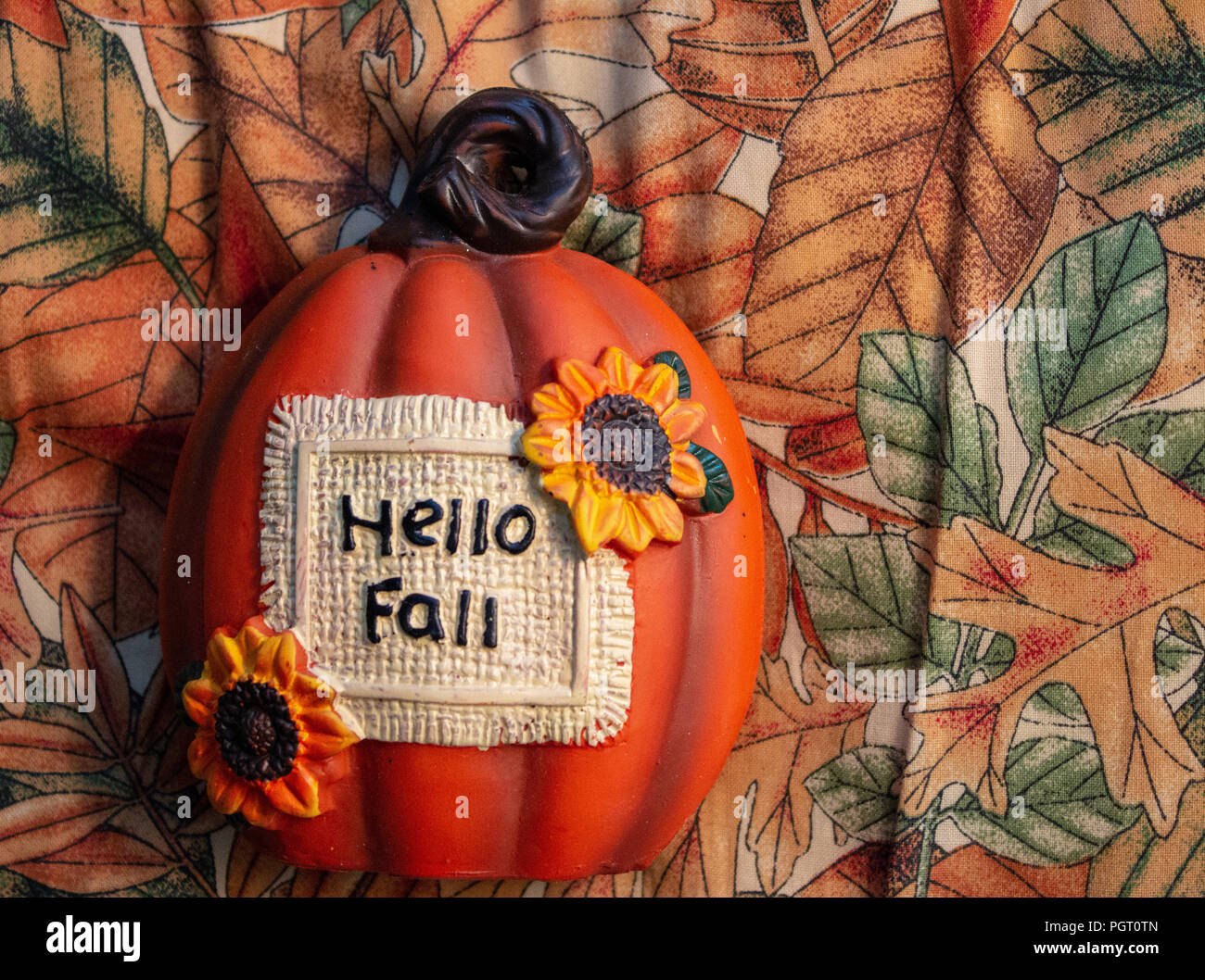 Una zucca con un background in foglia Foto Stock