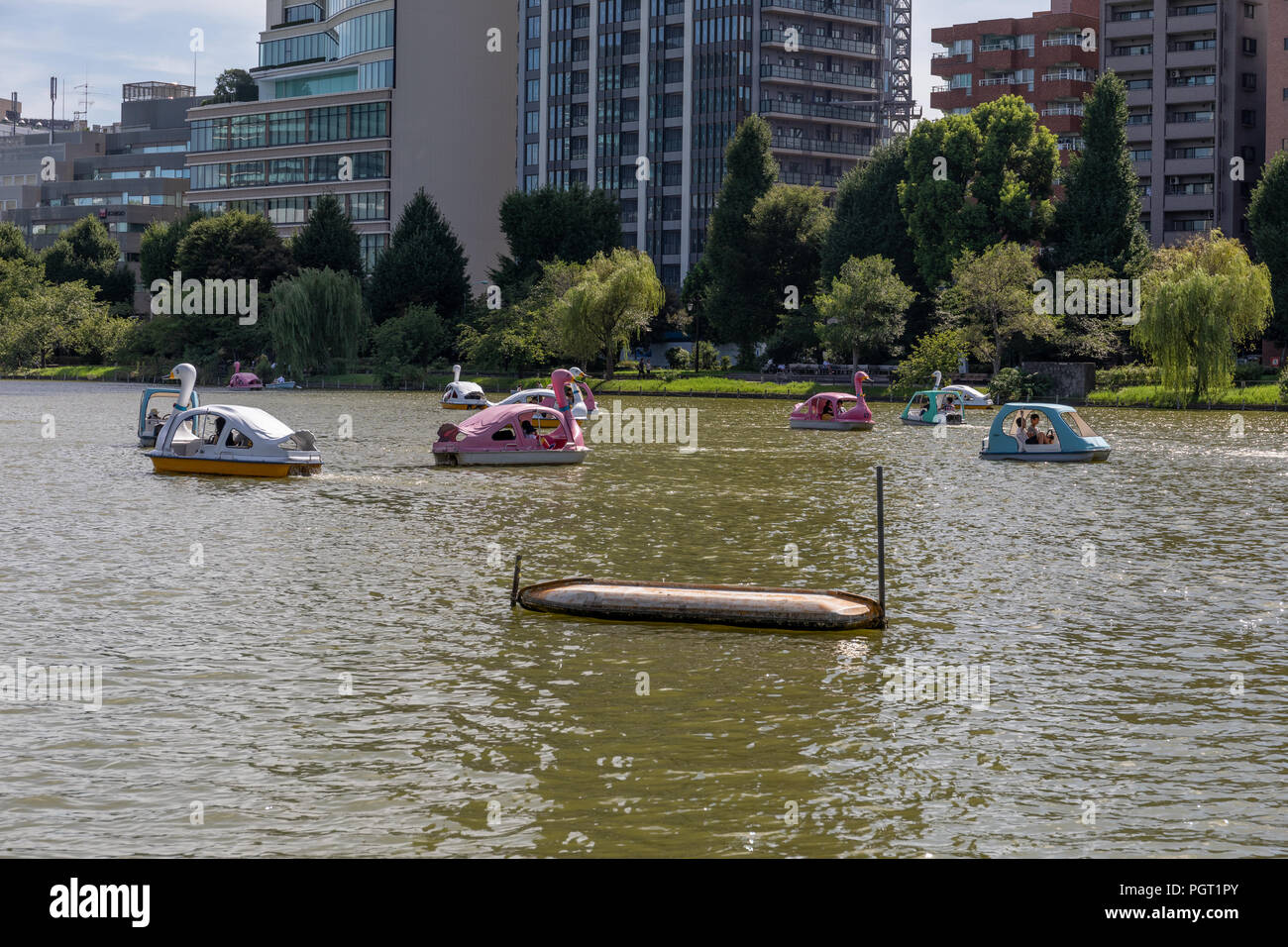 Tempo libero noleggio barche sul laghetto di Shinobazu in Tokyo Onshi Ueno Park. Foto Stock