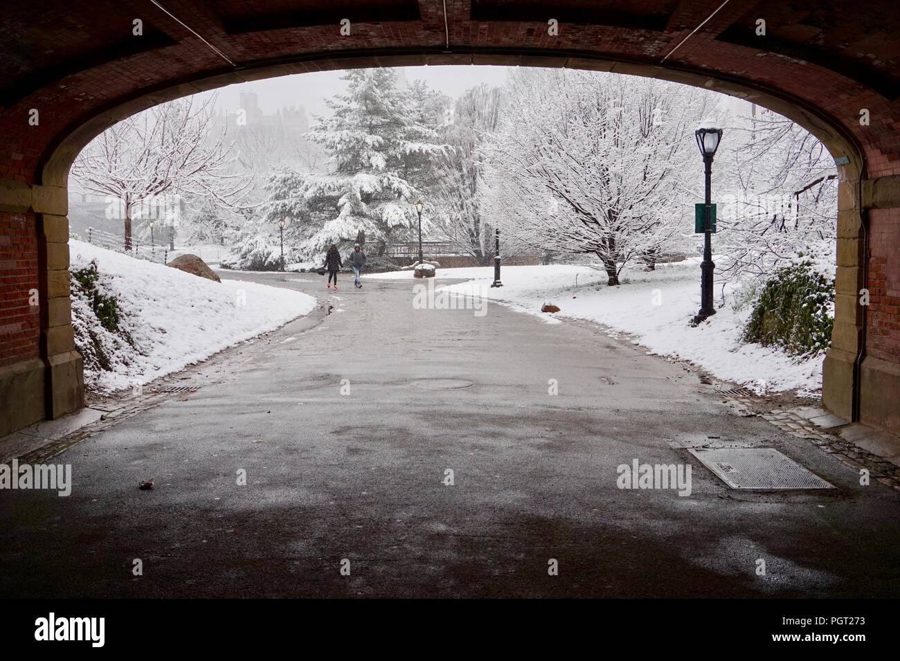 Neve a Central Park di New York City Foto Stock